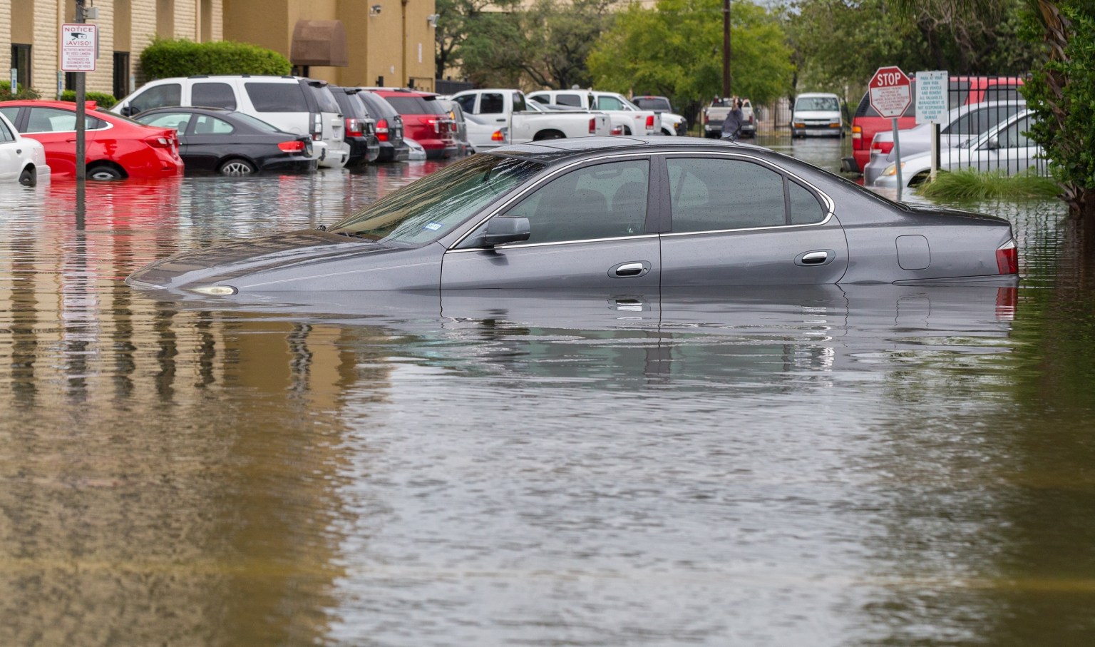 Why should I get my car insured? Suffering a loss could be a disaster