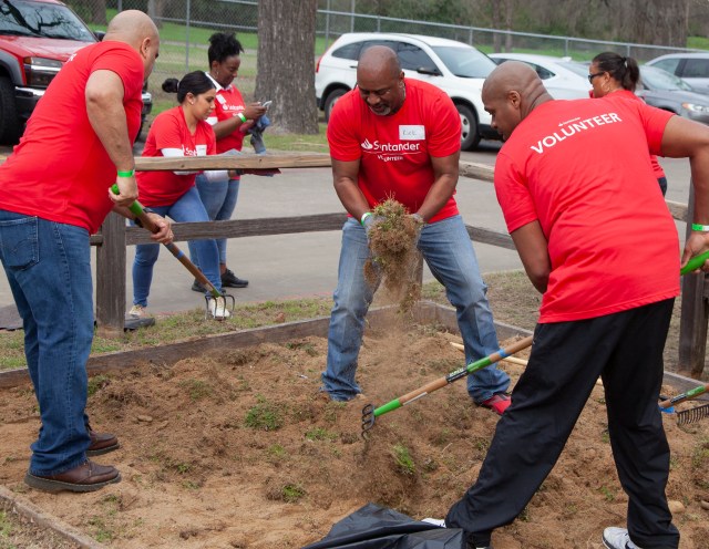 Volunteers planting