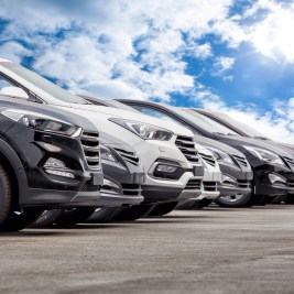 Line of vehicles used car prices