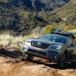 Subaru Outback brand loyalty