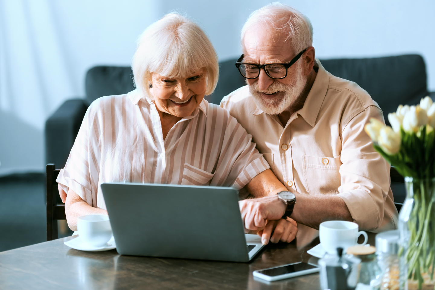 Elderly couple using computer