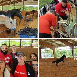 No horseplay here – Santander Consumer USA associates volunteer to make a difference