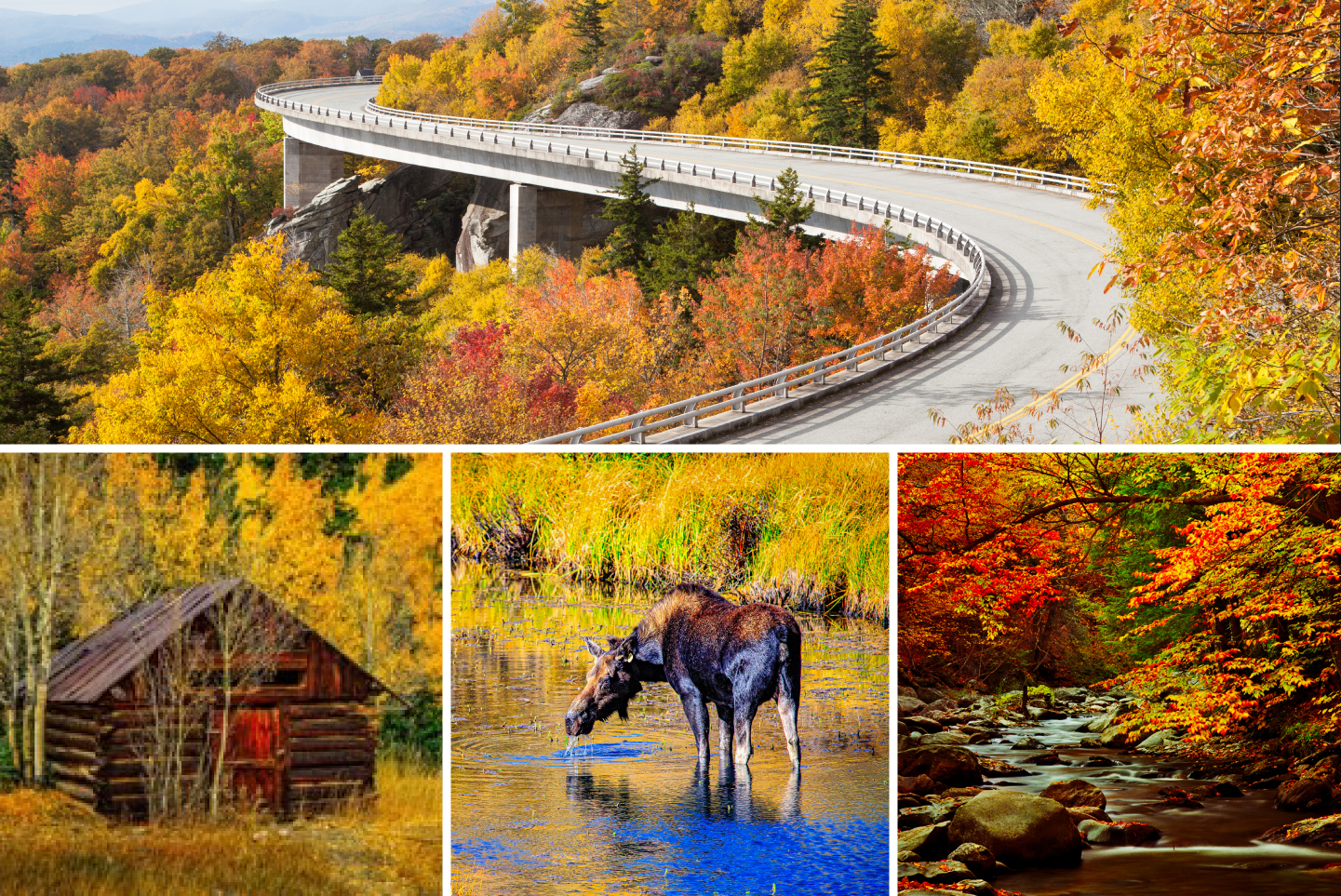 Best road trips for fall foliage in the northeast, midwest, rocky mountains, and beyond