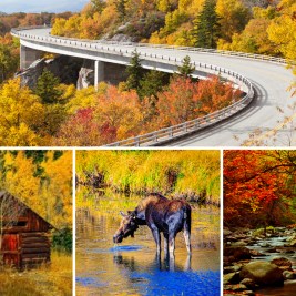 10 Instagram-worthy fall foliage drives