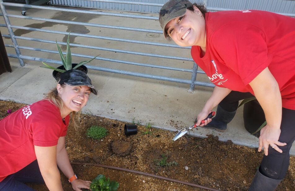Two Santander Consumer USA volunteers are planting flowers at a community event
