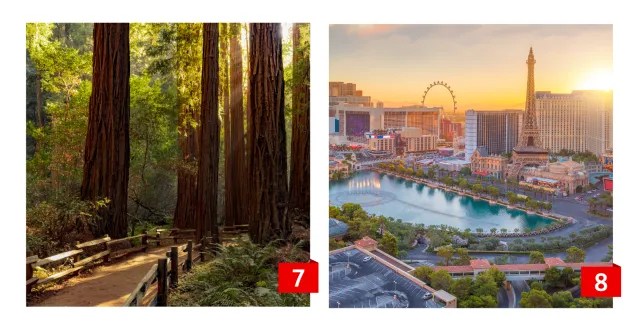 An image collage of redwood trees and Las Vegas resorts.
